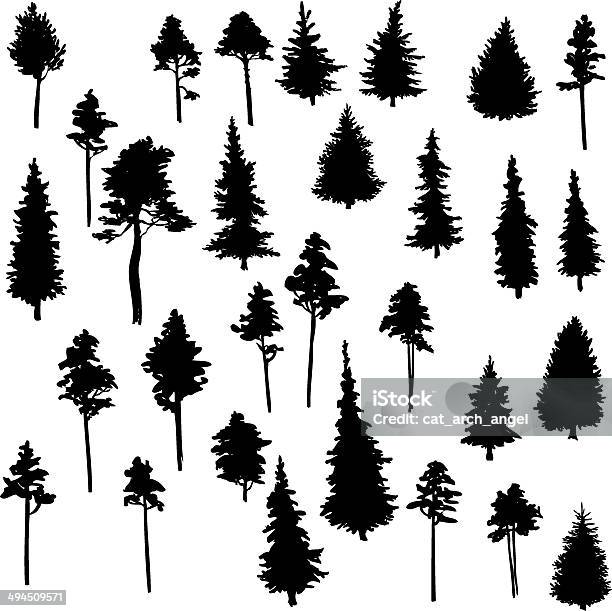 Set Of Conifer Trees Stock Illustration - Download Image Now - Fir Tree, Pine Tree, Illustration