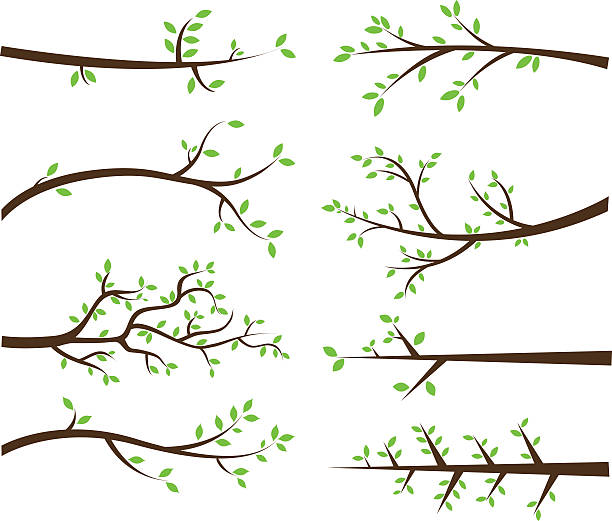 Branch Silhouettes Elements The vector for Branch Silhouettes Elements limb stock illustrations