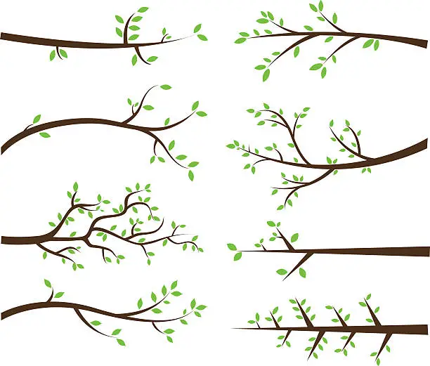 Vector illustration of Branch Silhouettes Elements