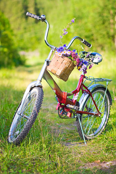 istock flowers in basket on bicycle 494511337
