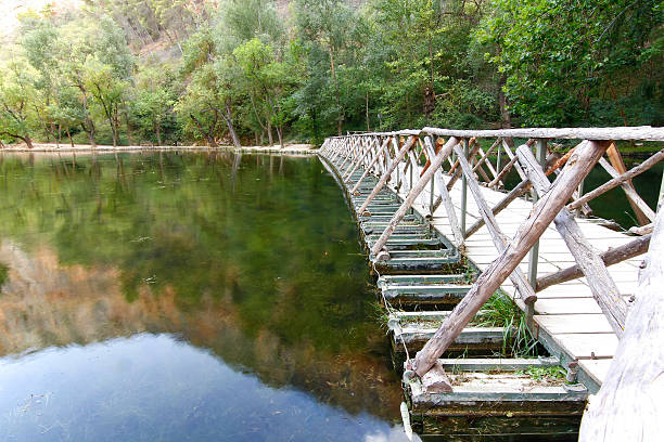 istock on a quiet lake floating wooden bridge 494511673