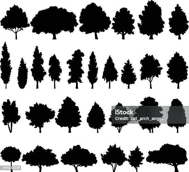 Set Of Different Deciduous Trees Stock Illustration - Download Image Now - Oak Tree, Cypress Tree, Vector