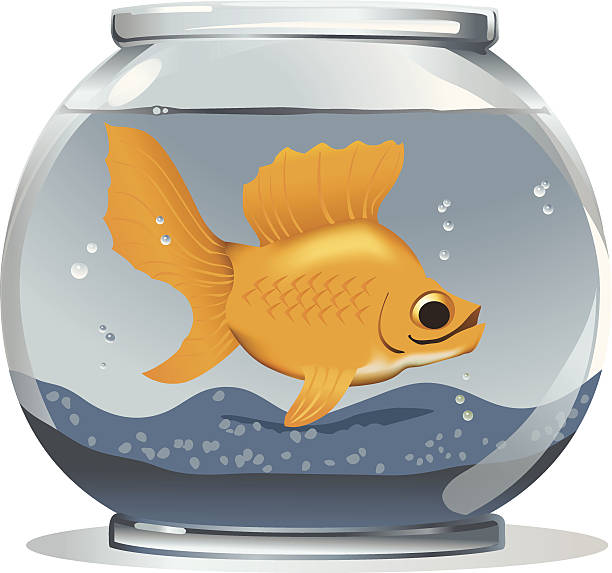Big Złota rybka w małym Bowl – artystyczna grafika wektorowa