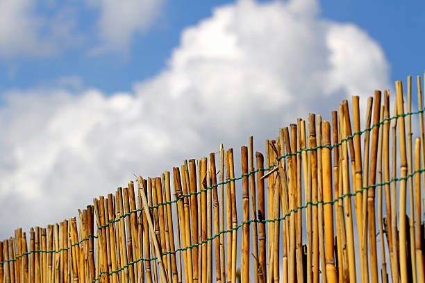 istock bamboo fence with blue sky and clouds in the background 494525769