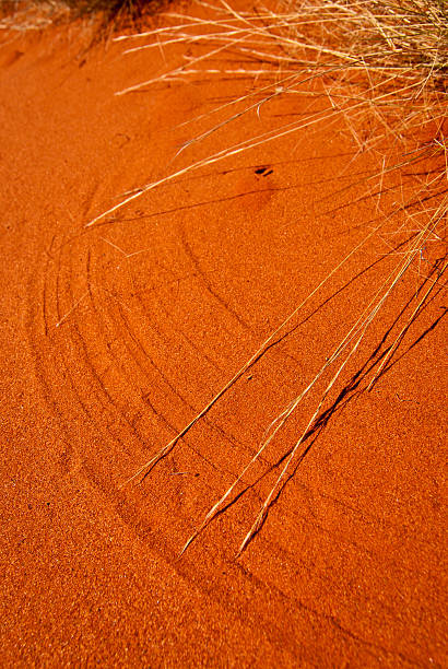 Red sand dune detail, central Australia