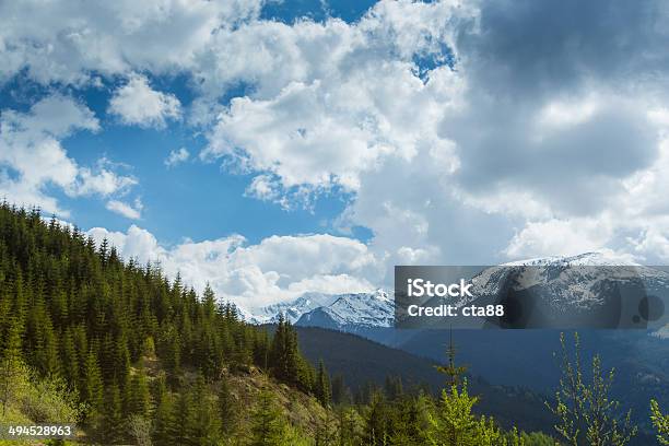 夏のアルプスの景色 - オーストリアのストックフォトや画像を多数ご用意 - オーストリア, カラフル, スイス