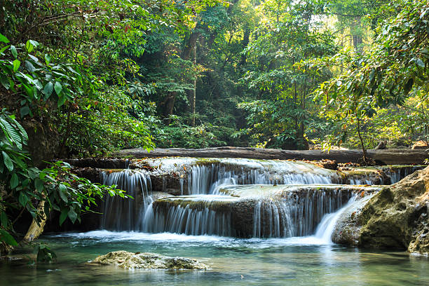 istock Erawan Waterfall, Kanchanaburi, Thailand. 494529119