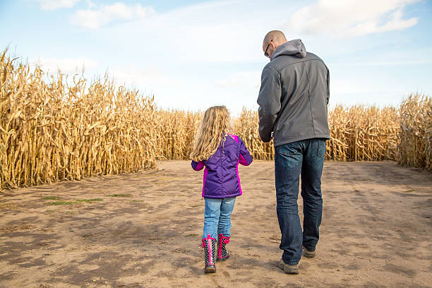 istock Father & Daughter Walking Through Autumn Corn Maze 494534946