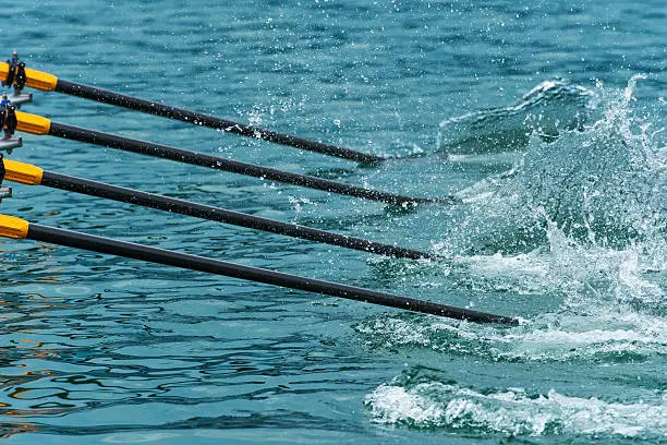 Rowing team's oars slicing through water, close-up