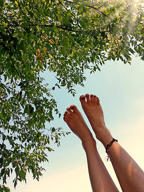 レッグスの中に足を指すの木々と空 - yoga outdoors hippie people ストックフォトと画像