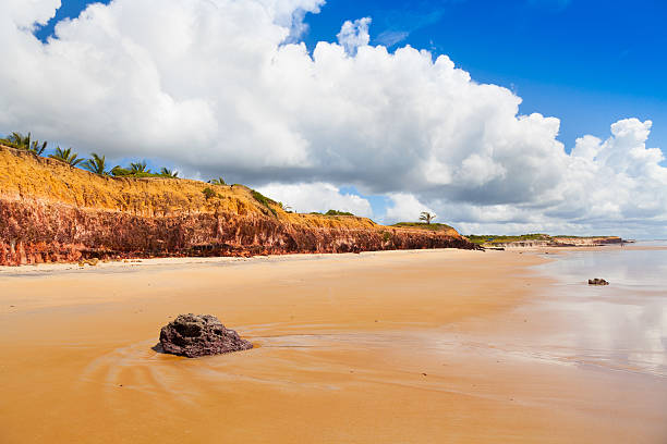 costa dourada de costa dourada no estado do espírito santo bahia, brasil - costa dourada bahia - fotografias e filmes do acervo