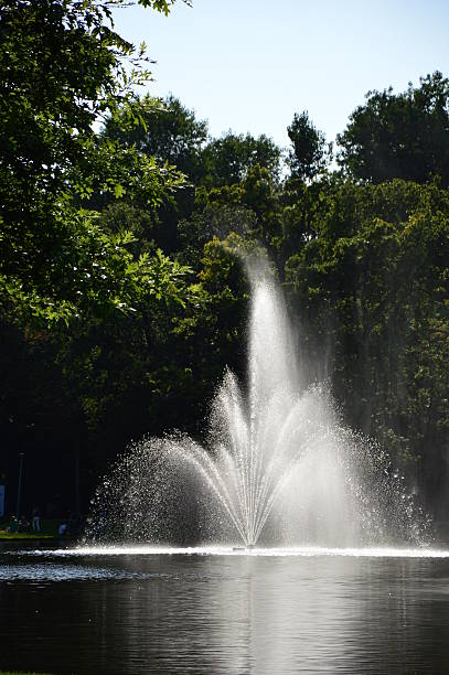 istock Fountain on a lake in a park during summer 494539516