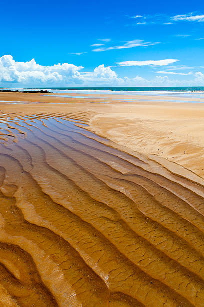 istock Golden coast Costa Dourada in Espirito Santo State Bahia Brazil 494539921