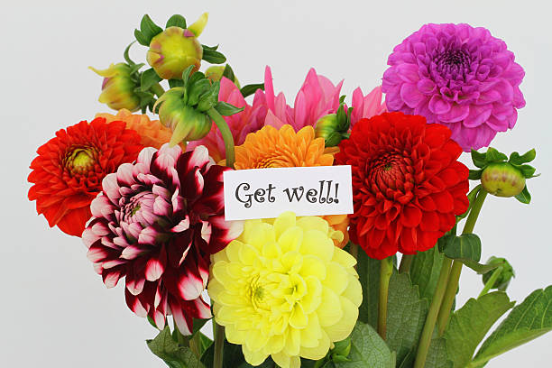 istock Get well card with colorful dahlias 494539985