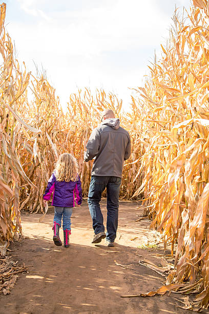 istock Father & Daughter Walking Through Autumn Corn Maze 494540444
