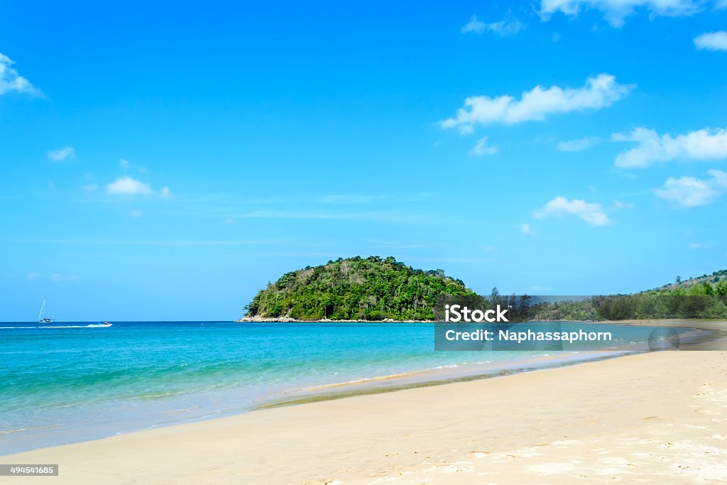 Beautiful beach, Thailand Layan beach in phuket thailand. Animals In The Wild Stock Photo