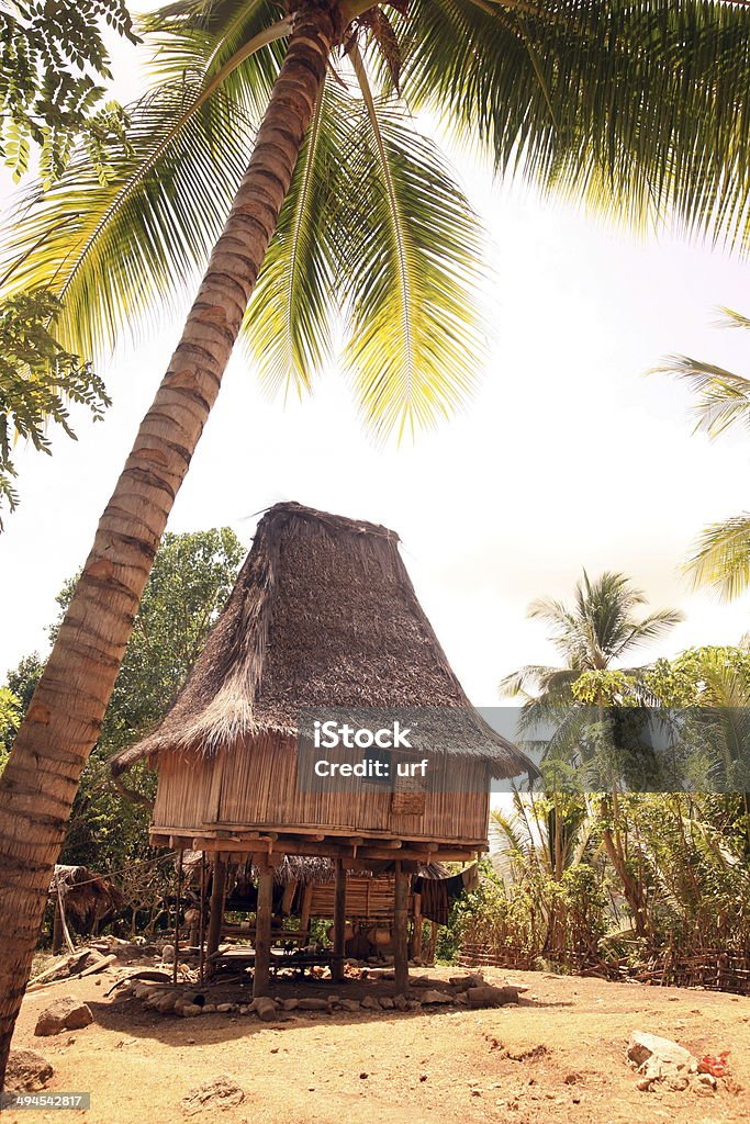 ASIA EAST TIMOR RACA VILLAGE HOUSE Asia, South Asia, East Timor, Timor-Leste, Timor, East Coast, Raca, House, Tradition, Architecture,  Architecture Stock Photo