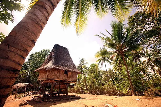 A traditional house in Lospalos in the east of Timor on the island of Timor in Asia.