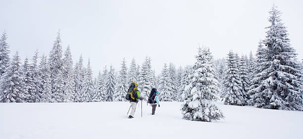 sapato de caminhada na floresta de inverno - male beauty imagens e fotografias de stock