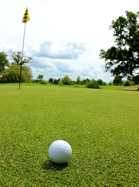 istock Close-up golf ball in grass on golf course putting green 494544515
