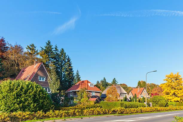 row of classic dutch villa's in the province of gelderland - herfst-nederland stockfoto's en -beelden