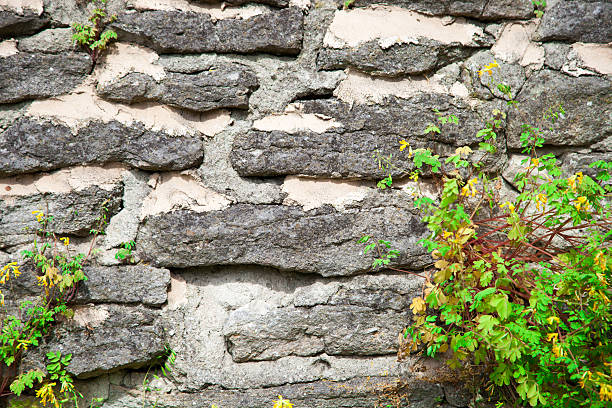 istock texture of the stone wall with grass 494558914
