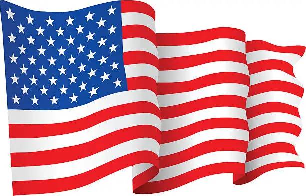 Vector illustration of USA Flag