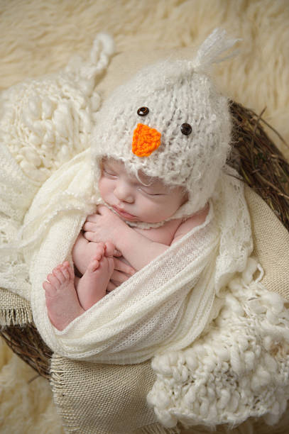 niño recién nacido durmiendo - baby animal nest newborn lying down fotografías e imágenes de stock