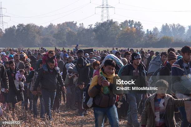 Refugees Walking Through Fields Near Rigonce Stock Photo - Download Image Now - Refugee, 2015, Agricultural Field