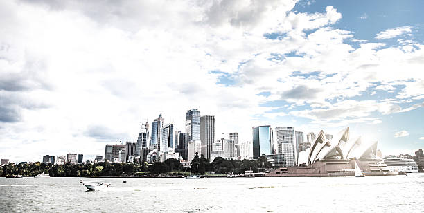 istock Sydney CBD and Royal Botanic Garden 494559724