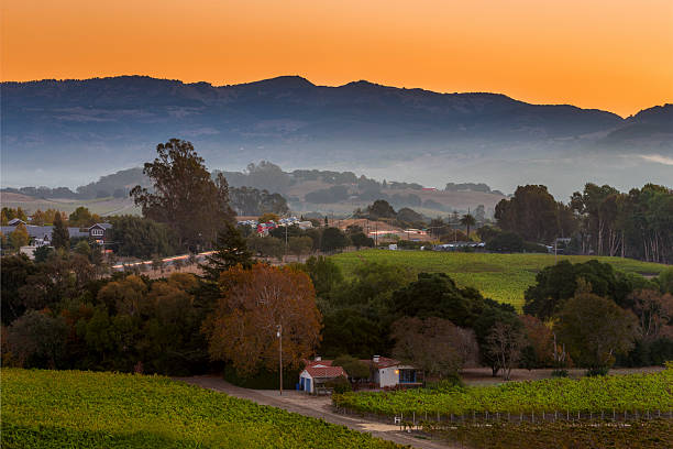 рано утром и город виноградник в долине напа-калифорния - winery vineyard california town of vineyard стоковые фото и изображения