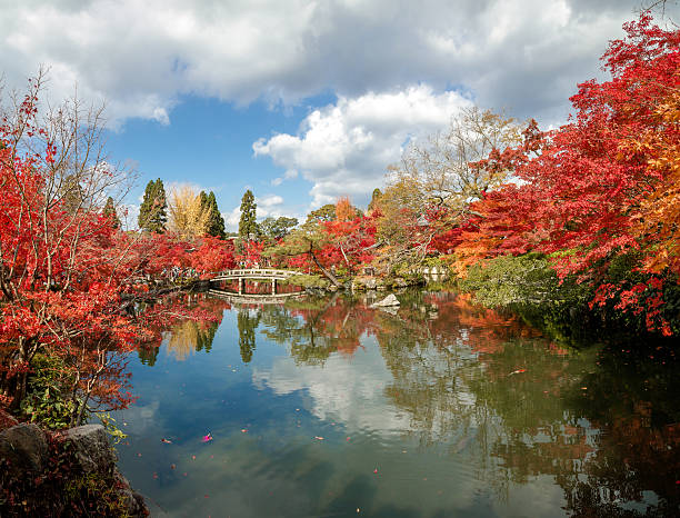 Japanese garden at Eikando in Autumn stock photo