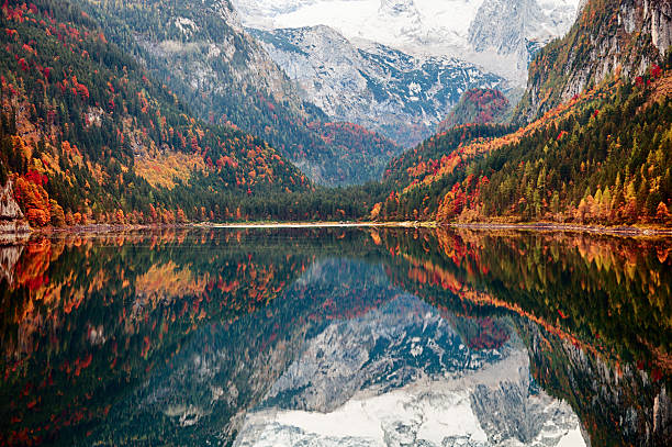 lac gosausee en automne, salzkammergut, en autriche - european alps austria autumn colors photos et images de collection