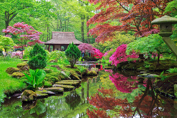 colori giapponese - nature japanese garden formal garden ornamental garden foto e immagini stock
