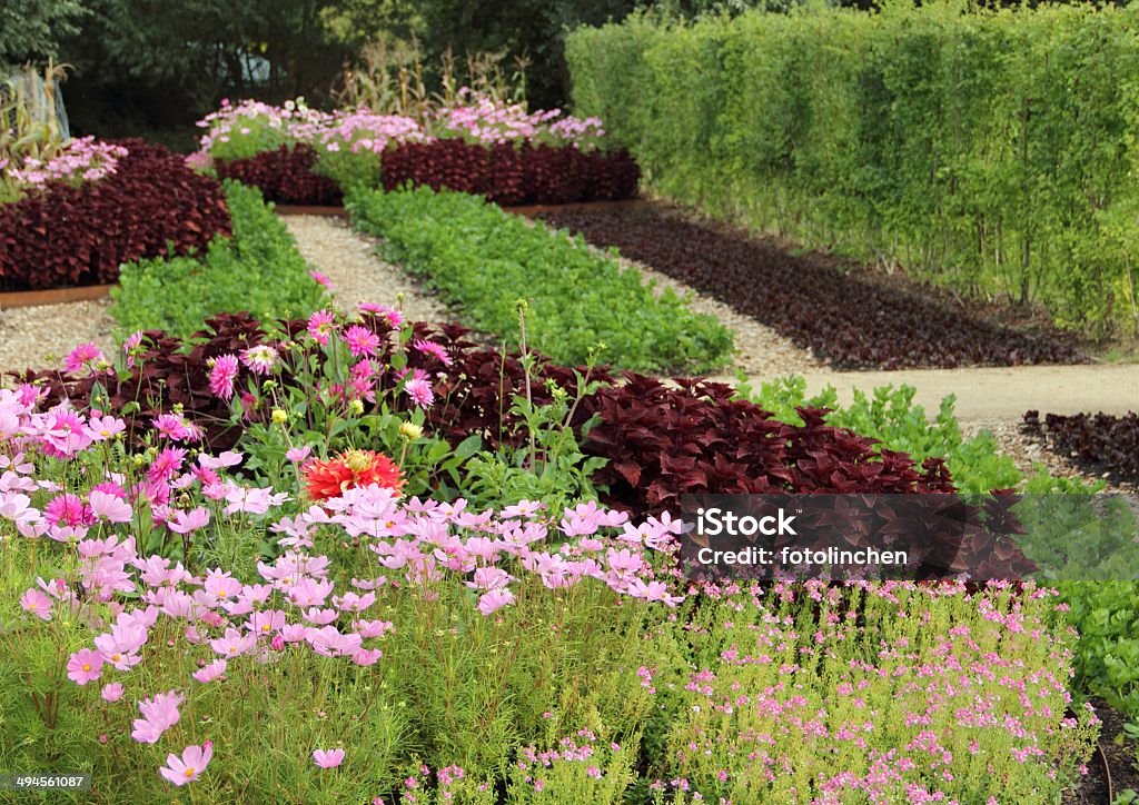 Big Gemüsegarten - Lizenzfrei Blatt - Pflanzenbestandteile Stock-Foto