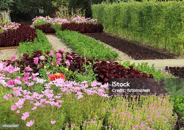 Big Gemüsegarten Stockfoto und mehr Bilder von Blatt - Pflanzenbestandteile - Blatt - Pflanzenbestandteile, Blattgemüse, Blume