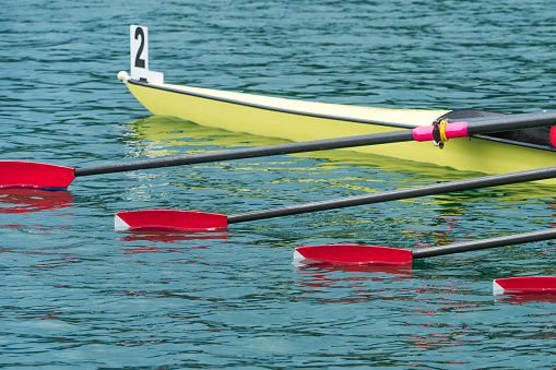 Rowing team's oars ready for start, close-up