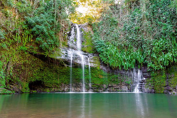 Cascada en el bosque. - foto de stock