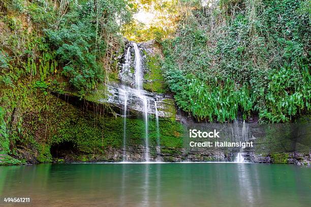 Waterfall In The Forest Stock Photo - Download Image Now - Madagascar, Nosy Be, Forest