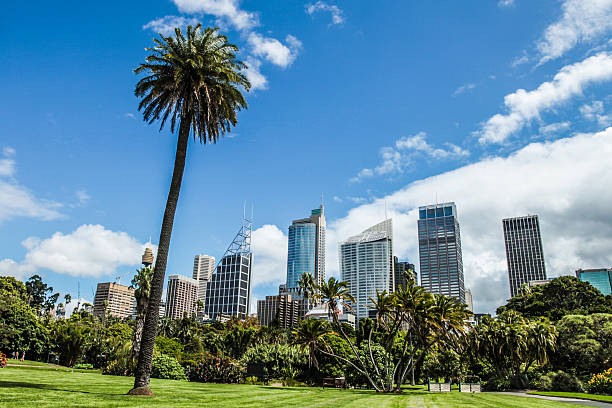 istock Sydney CBD and Royal Botanic Garden 494561584