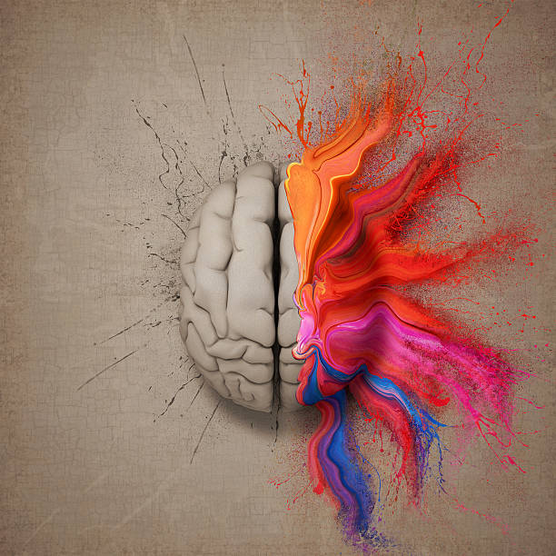 The Creative Brain Creative mind or brain illustrated with colourful paint splatter and dispersion. Conceptual computer artwork. brain thinking intelligence inspiration stock pictures, royalty-free photos & images