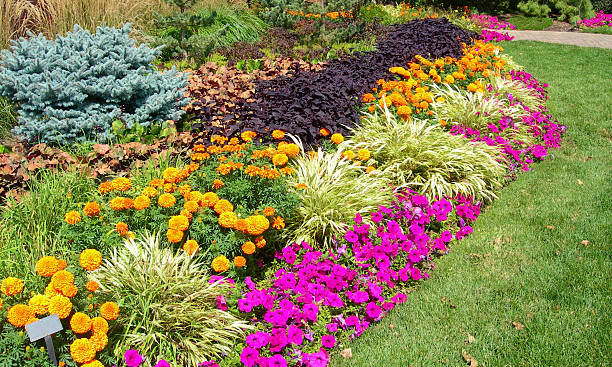 istock Orange and red flower beds 494563089
