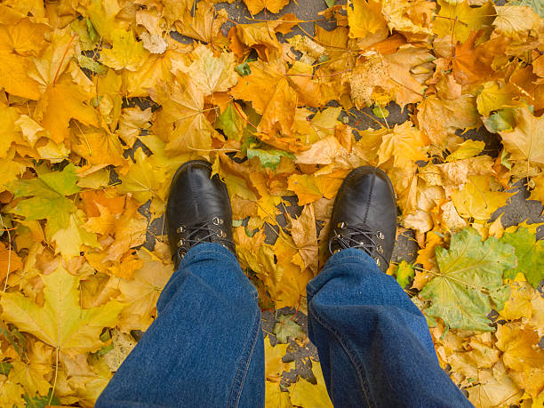 istock Feet on the yellow leaves. 494563344