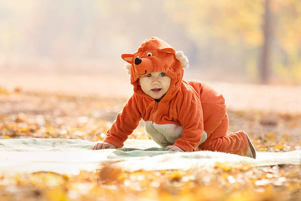 istock Cute baby boy dressed in fox costume 494563608