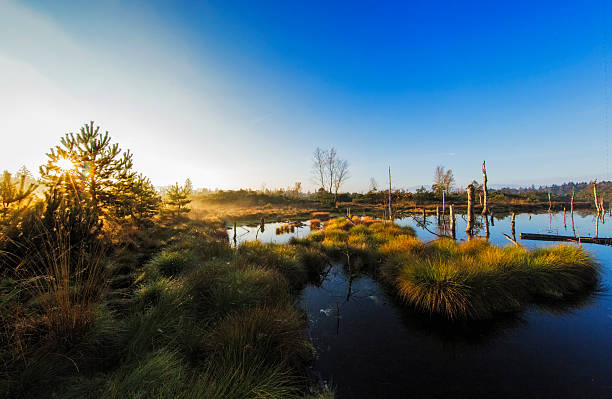 Early morning sunrise during a beautiful springtime day over the Zwartendijk, the old Zuiderzee levee in the IJsseldelta near Kampen in Overijssel The Netherlands.