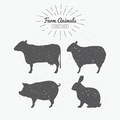 Set of farm animals silhouettes. Beef, lamb, pork, rabbit meat. Butcher shop design template for craft meat packaging or food restaurant. Sunburst rays label template. Vector illustration
