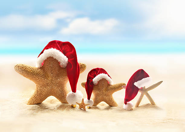 istock Starfish on summer beach and Santa hat 494569526