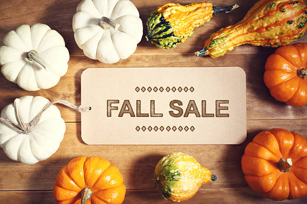 istock Fall Sale message with colorful pumpkins 494570080