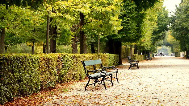 bench under trees in autumn in Schönbrunn in Vienna