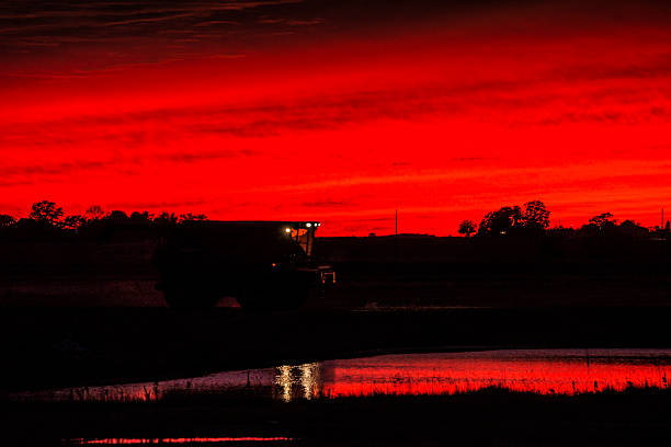 istock Combine traveling in a vivid red sunset 494581774